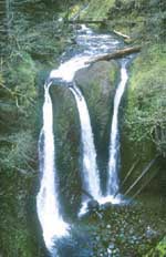 Oneonta Creek's Triple Falls
