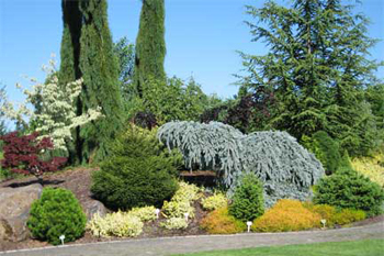 Oregon Garden in Silverton Oregon