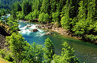 North Santiam River © Photo courtesy of Mt. Hood National Forest 